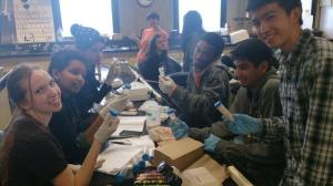 Ecosystem engineers. Back in the lab, a classroom provided by the BML, five teams weighed out the chemicals for their experimental columns, and loaded them up.