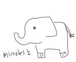 elephant