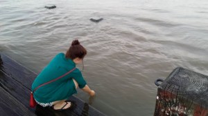 11391124_10205818157466724_2465408434093120848_n