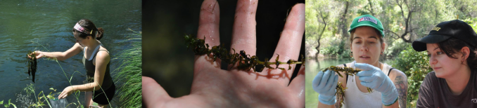 Screen Shot 2015-06-30 at 11.19.27 AM