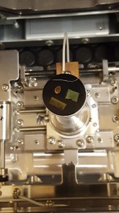 Samples on mount ready for SEM