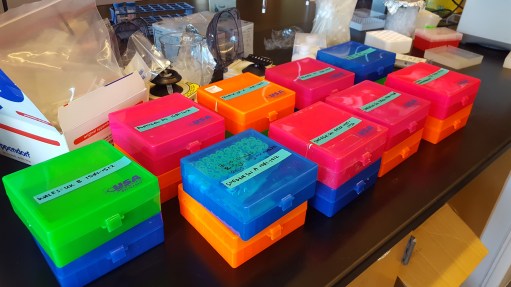 Completed kits, ready to go! 